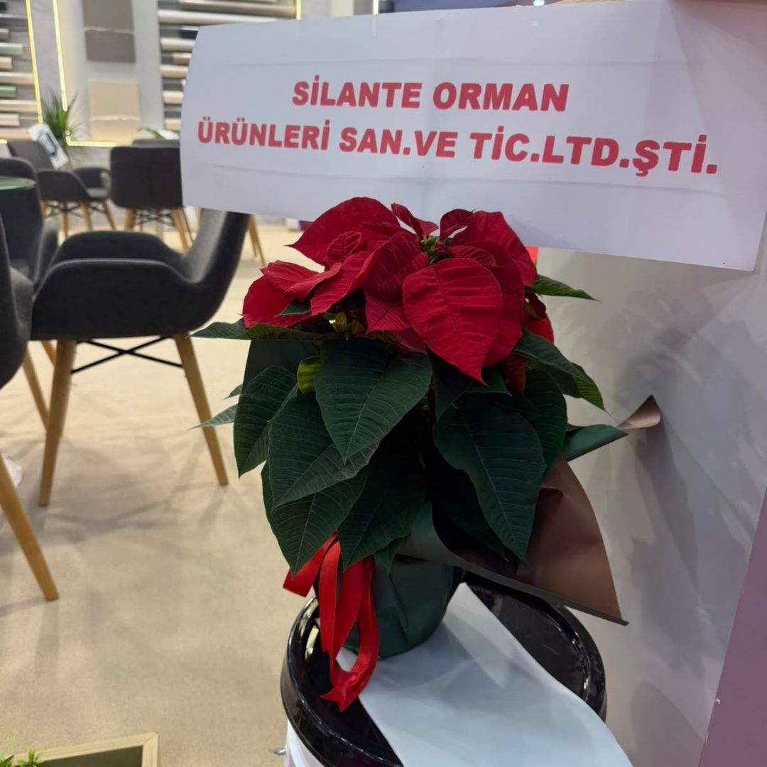 Fuar Çiçekleri 8